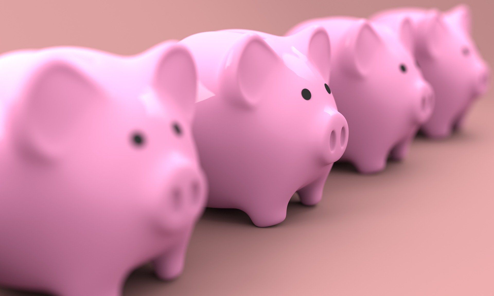 four pink piggy banks stood in a row 